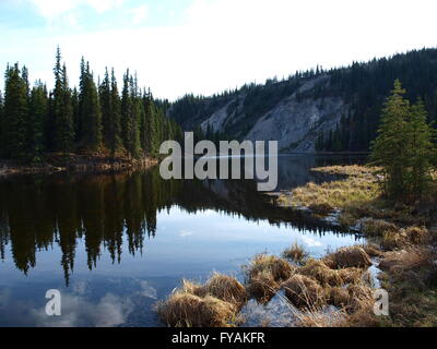 Beaver lago appena fuori dal Parco Nazionale di Denali Foto Stock