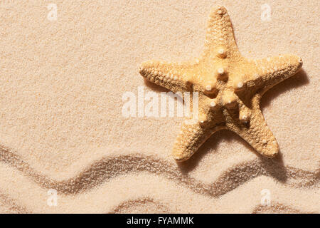 Starfish sulla sabbia con marchio di onda. Estate spiaggia sfondo. Vista da sopra Foto Stock