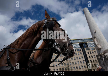 Un cavallo carrello con situato in Piazza Dam in Amsterdam Paesi Bassi Foto Stock