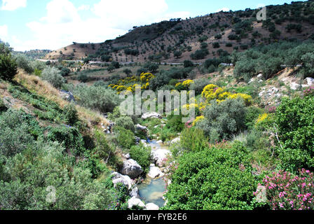 Vista del Sabar flusso di fiume che corre attraverso le montagne tra Periana e Rio Gordo, Costa del Sol, Spagna. Foto Stock