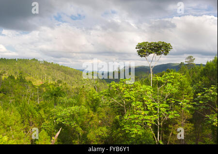 Paesaggio tra Guantanamo e Baracoa, provincia di Guantanamo, Cuba Foto Stock