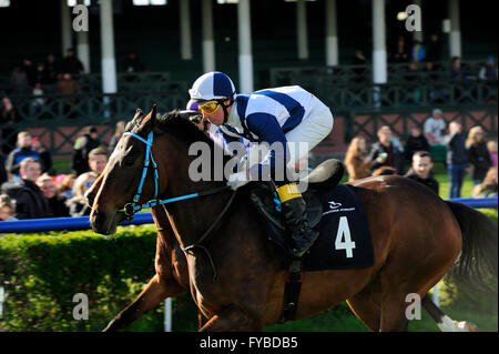 Racing, cavallo, Partynice Wroclaw, Polonia, aprire la stagione 2016, 24 aprile 2016, Wroclaw, Dolnoslaskie, partynice, Polonia, europa Foto Stock