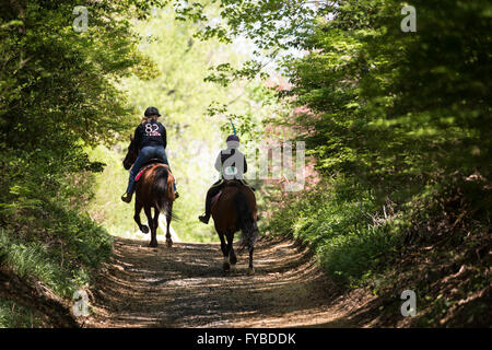 Trail riders club facendo un passo per la carità in un parco. Foto Stock