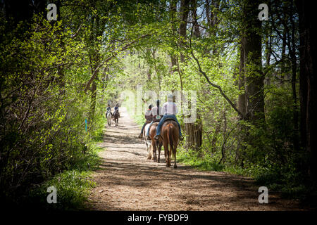 Trail riders club facendo un passo per la carità in un parco. Foto Stock