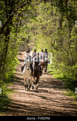 Trail riders club facendo un passo per la carità in un parco. Foto Stock