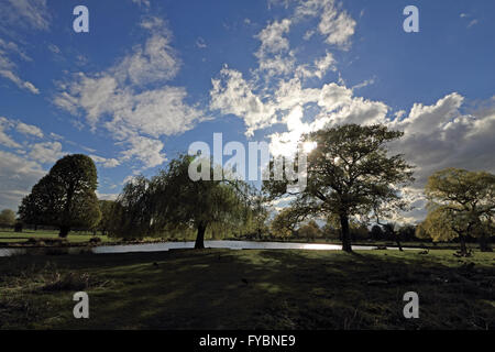 Bushy Park, London, Regno Unito. Xxv Aprile 2016. Il sole si rompe attraverso un passaggio di pioggia al di sopra del Heron Pond in Bushy Park su un pomeriggio di sole e di docce. Credito: Julia Gavin UK/Alamy Live News Foto Stock