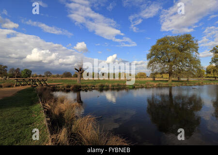 Bushy Park, London, Regno Unito. Xxv Aprile 2016. Riflessioni a Heron Pond a Bushy Park su un pomeriggio di sole e di docce. Credito: Julia Gavin UK/Alamy Live News Foto Stock