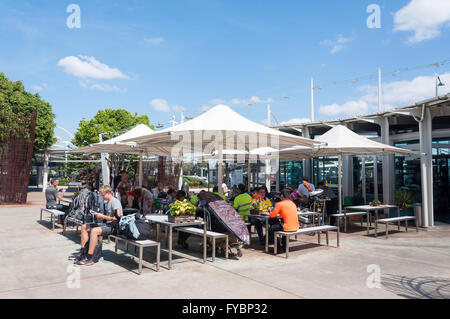 Schibello Caffe all'Aeroporto Kingsford Smith di Sydney, mascotte, Sydney, Nuovo Galles del Sud, Australia Foto Stock