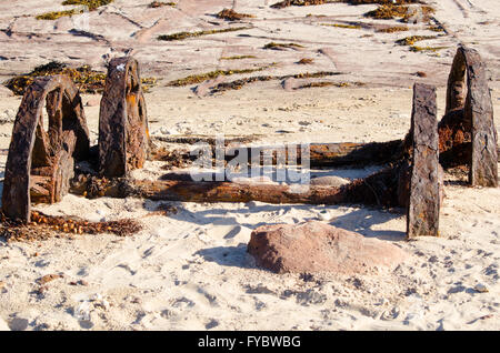 Ruggine storica ferrovia carrello ruote sull isola Windang Illawarra NSW Australia Foto Stock