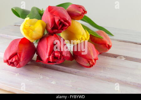 Rosso e tulipani gialli su una tavola di legno Foto Stock