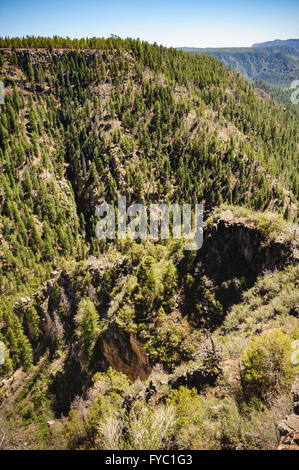 Oak Creek Canyon Foto Stock