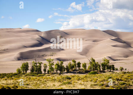 Grandi dune di sabbia del Parco Nazionale Foto Stock