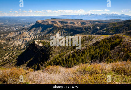 Il Parco Nazionale di Mesa Verde Foto Stock