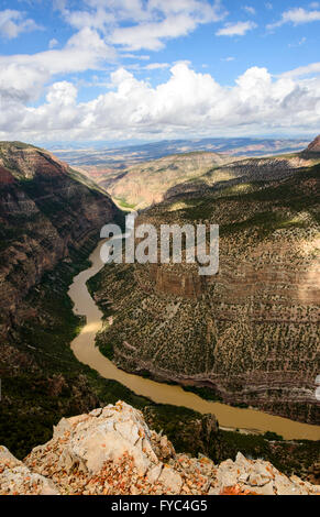 Dinosauro monumento nazionale Foto Stock