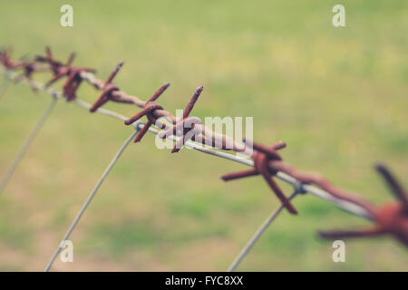 Rusty barbwire macro - Filo spinato closeup Foto Stock