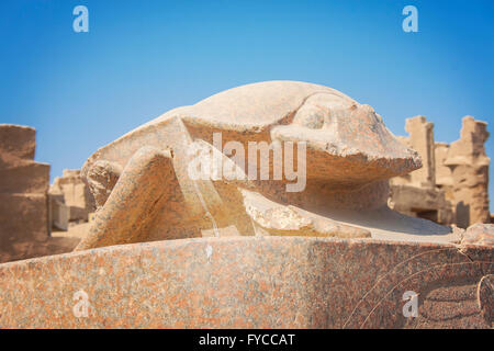 Immagine di uno scarabeo statua al tempio di Karnak a Luxor, Egitto. Foto Stock