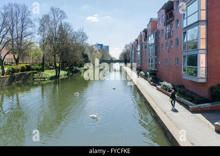 City Centre Apartments sulla banca del fiume Soar vicino De Montfort University di Leicester Foto Stock