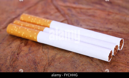 Sigaretta con filtro a secco delle foglie di tabacco Foto stock - Alamy