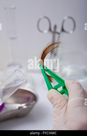 Campione biologico Foto Stock