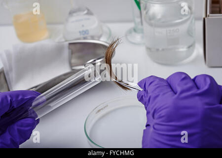Campione biologico Foto Stock