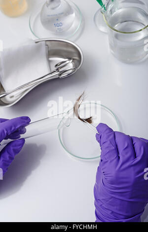 Campione biologico Foto Stock