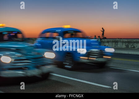 La vibrante blu brillante splendidamente mantenuta classic American vetture disponibili per un tour della città intorno a La Habana, Havana, Cuba. Foto Stock