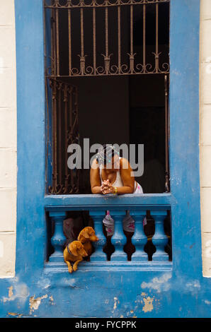Una donna che guarda fuori dalla finestra con i suoi due cani a l'Avana, Cuba Foto Stock