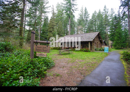 Sud cade natura Store a Silver Falls State Park in Oregon. Foto Stock