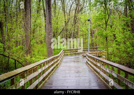 Passeggiata a Lago di Roland Park, a Baltimora, Maryland. Foto Stock