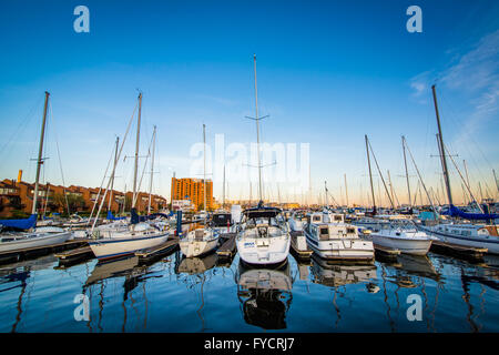 Barche ormeggiate in un marina del Cantone, Baltimore, Maryland. Foto Stock