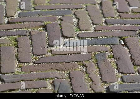 Alkmaar, Paesi Bassi - 27 Marzo 2016: bel canale di Alkmaar con cielo blu Foto Stock