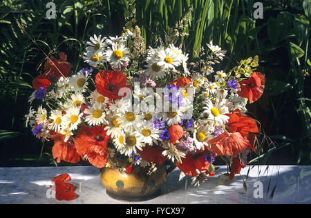 Mazzo di fiori di campo Foto Stock