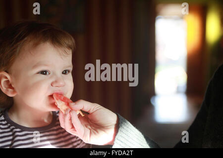 A quindici mesi di età bambino mangia un pezzo di pompelmo alimentato da una donna Foto Stock