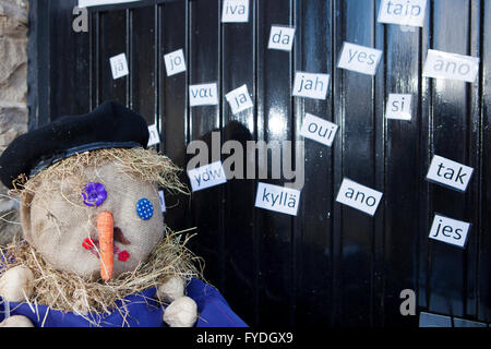 Wray, Lancashire, Regno Unito. Xxv Aprile, 2016. Sondaggio Brexit, Lancashire, Regno Unito. Xxv Aprile 2016. I visitatori di The scarecrow festival è stato chiesto di votare " sì " o " No " di soggiornare in uno stato membro dell'UE. Il Obama effetto era evidente nei risultati con 64 " sì " a 30 'No' voti il sabato e 101 " sì " a 66 'No' voti di domenica. Il "tessuto piquet Poll' ha parlato e la sua definitiva di un "sì!" Credito: Cernan Elias/Alamy Live News Foto Stock