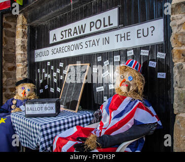 Wray, Lancashire, Regno Unito. Xxv Aprile, 2016. Wray annuali di Spaventapasseri Festival. Un 'stessuto piquet poll' dei visitatori di Wray durante il fine settimana ha portato a due risultati a favore di rimanere! Questo totalmente lo studio scientifico ha fornito risultati di sabato di 64 a 30 a favore, e domenica 101 a 66 a favore, con no non lo sa! La forza di persuasione del Presidente Obama ha apparentemente ha avuto una diretta e quantificabile sui residenti locali e turisti nel villaggio di Lancashire. Credito: Cernan Elias/Alamy Live News Foto Stock