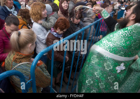 Mosca, Russia. 24 Aprile, 2016. Cinque mila consacrati willow mazzi ha presentato ai visitatori sulla piazza del teatro durante il Festival di Primavera per la domenica delle Palme Foto Stock