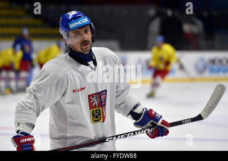 Znojmo, Repubblica Ceca. 26 apr, 2016. Tomas Plekanec durante la Czech National Hockey su ghiaccio allenamento della squadra in Znojmo, Repubblica ceca, 26 aprile 2016. Giocatori cechi preparare per i Campionati Mondiali di Hockey su ghiaccio della Russia. © Lubos Pavlicek/CTK foto/Alamy Live News Foto Stock