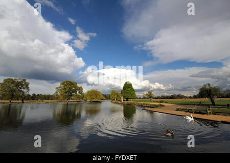 Bushy Park, London, Regno Unito. Il 26 aprile 2016. Regno Unito: Meteo enorme cumulonimbus nuvole passare oltre l'Heron Pond in Bushy Park su un pomeriggio di sole e di docce in SW London. Credito: Julia Gavin UK/Alamy Live News Foto Stock