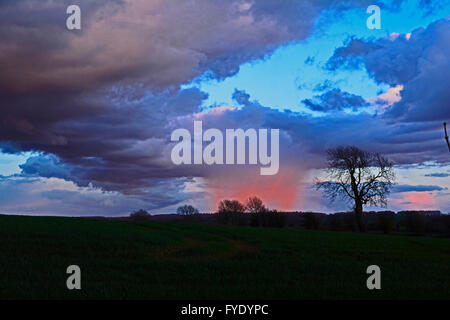 Regno Unito Meteo. presto la sera al tramonto con minaccioso tempesta nuvole sopra il minerale di verde nel Somerset vicino alla città di pozzetti. Robert timoney/AlamyliveNews. Foto Stock