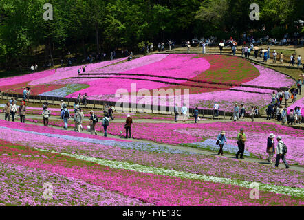 Saitama, Giappone. 26 apr, 2016. Colorato moss phlox i fiori sono in piena fioritura presso il parco Hitsujiyama in Chichibu nella prefettura di Saitama, a ovest di Tokyo il martedì 26 aprile, 2016. Più di 400.000 rosa moss phlox con 9 diversi colori che coprono circa 17.600 metri quadrati di attirare i visitatori su una soleggiata giornata di primavera. Credito: Yoshio Tsunoda/AFLO/Alamy Live News Foto Stock