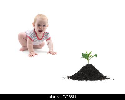 Una piccola bambina in direzione di una piantina Foto Stock