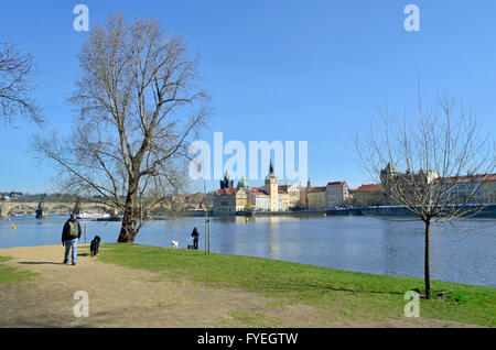 Praga, Repubblica Ceca. Strelecky Island (ostrov) nella Moldava - cane scuotipaglia Foto Stock