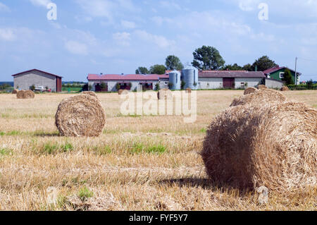Edifici agricoli e pagliaio sul campo Foto Stock