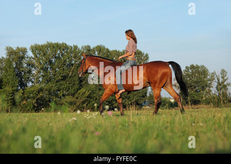 Giovani donne belle al galoppo ippovia Foto Stock