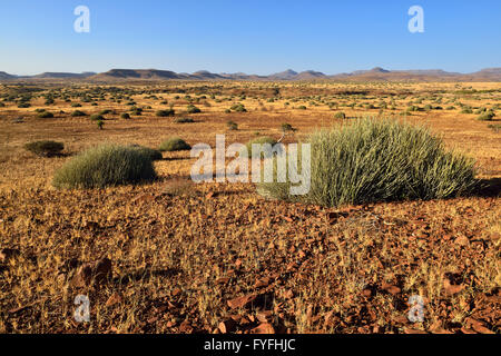 Semi arido paesaggio di Damaraland, provincia di Kunene, Namibia Foto Stock