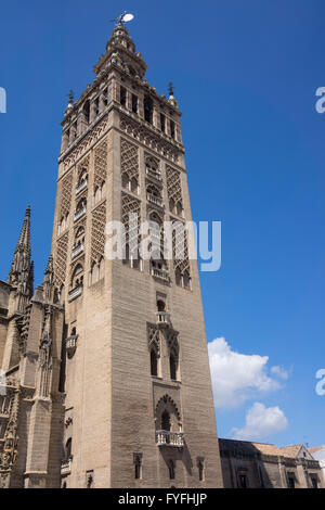 La Giralda di Siviglia Foto Stock