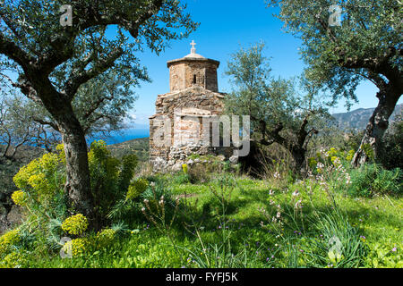 Piccola chiesa Greco Ortodossa in un villaggio di montagna sulla costa circondato da alberi di ulivo, Kato Chora, Peloponneso, Mani, Grecia Foto Stock