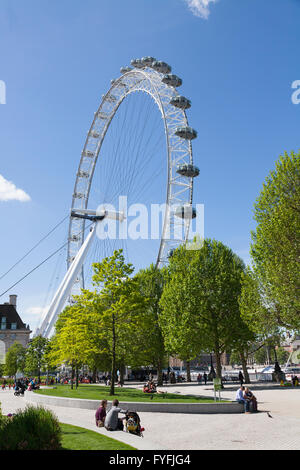 London Eye da Jubilee Gardens, London, England, Regno Unito Foto Stock