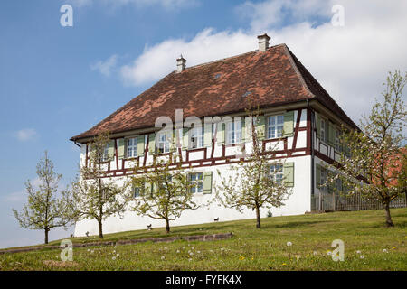 La fioritura degli alberi da frutto nella parte anteriore di una casa in legno e muratura, Birnau, Uhldingen-Mühlhofen, Baden-Württemberg, Germania Foto Stock