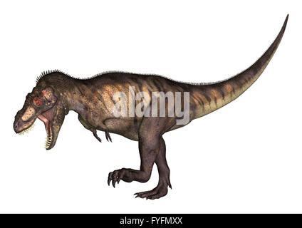 3D illustrazione di un Tirannosauro isolati su sfondo bianco Foto Stock
